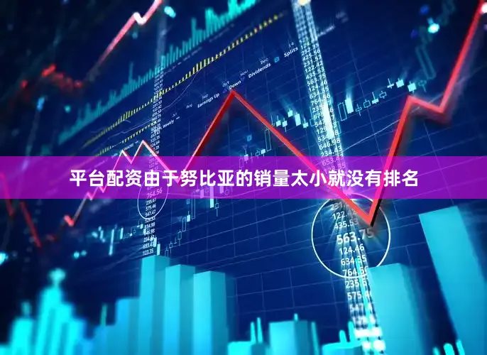 平台配资由于努比亚的销量太小就没有排名